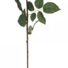 Hot Chic Antique Fleur Rose rosa