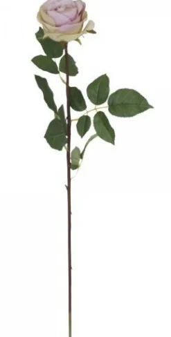Hot Chic Antique Fleur Rose rosa