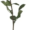 New Chic Antique Fleur Rose weiß