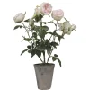 Outlet Chic Antique Fleur Rosenstrauch im Keramiktopf