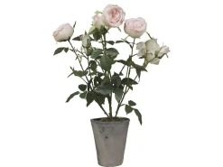 Outlet Chic Antique Fleur Rosenstrauch im Keramiktopf