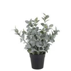 Sale Chic Antique Fleur Salbei Kräuter-Topf künstlich