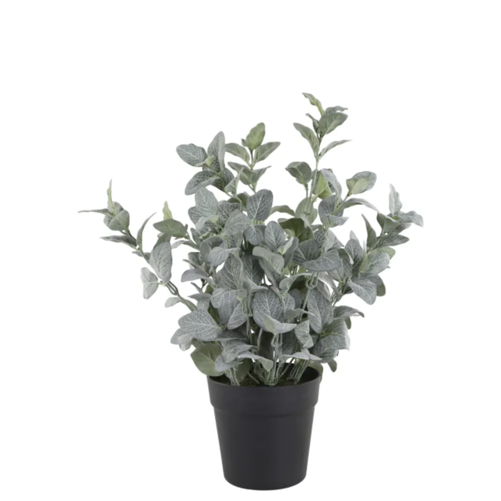 Sale Chic Antique Fleur Salbei Kräuter-Topf künstlich