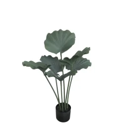Hot Chic Antique Fleur Strahlenpalme Kunstpflanze