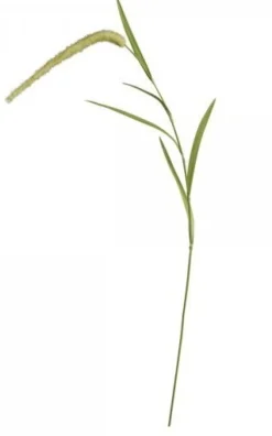 Best Chic Antique Fleur Stroh