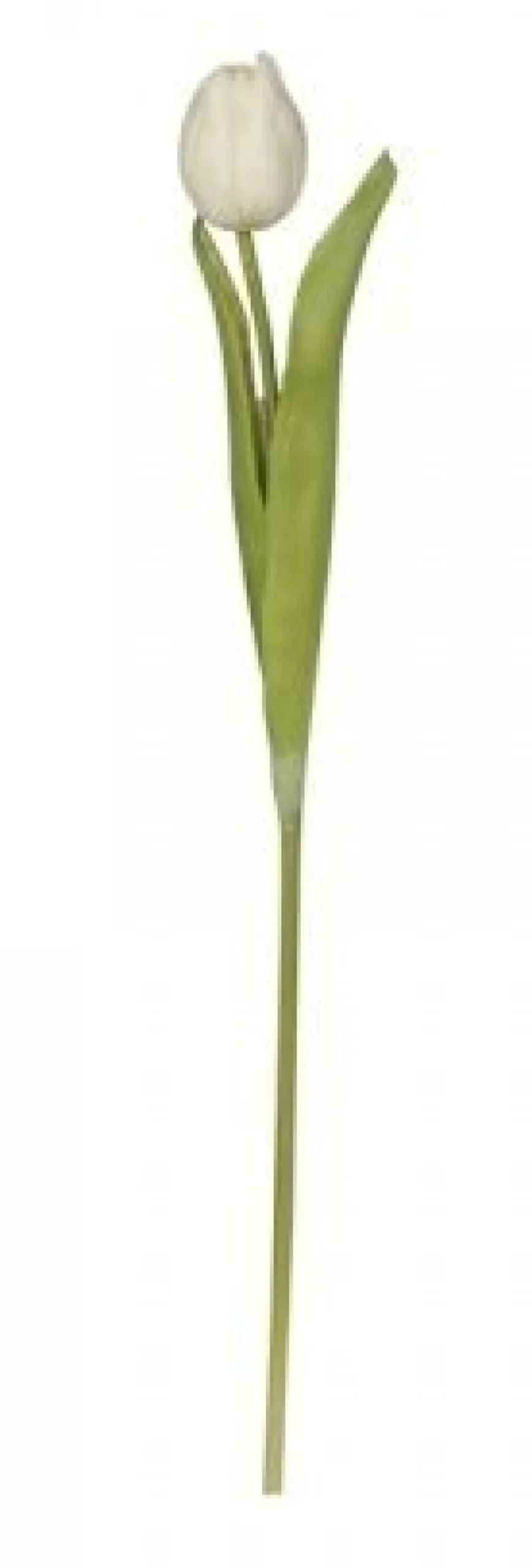 Discount Chic Antique Fleur Tulpe, Kunstblume
