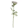 Online Chic Antique Fleur Wilde Möhre