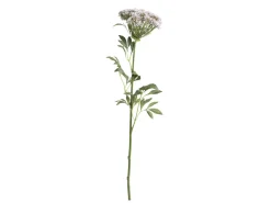Online Chic Antique Fleur Wilde Möhre
