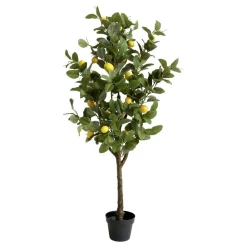 Outlet Chic Antique Fleur Zitronenbaum