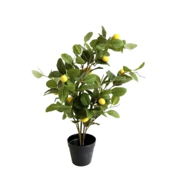Outlet Chic Antique Fleur Zitronenbaum