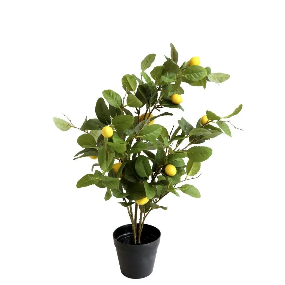 Outlet Chic Antique Fleur Zitronenbaum