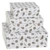 Chic Antique Geschenkbox 3er-Set mit Zapfen