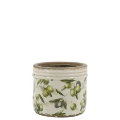 Sale Chic Antique Olive Übertopf mit Rand, Olivenmuster