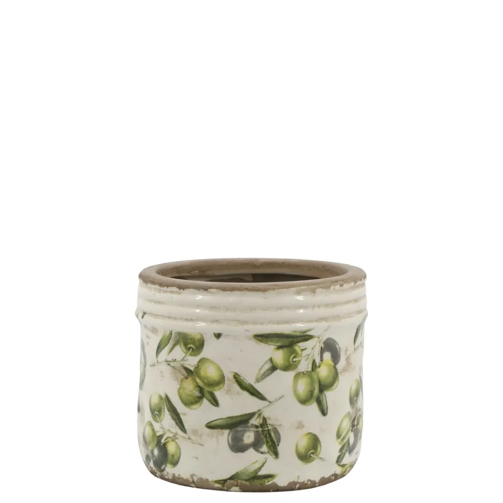 Sale Chic Antique Olive Übertopf mit Rand, Olivenmuster