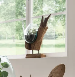Online Faktorei Deko-Wurzel mit Glasvase in Tropfenform Teak-Holz