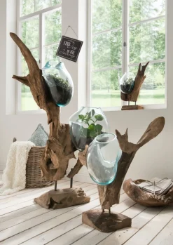 Online Faktorei Deko-Wurzel mit Glasvase in Tropfenform Teak-Holz