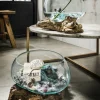 Outlet Faktorei Unikat-Dekowurzel Teak mit Glasschale