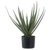 Best House Nordic Aloe Vera Künstliche Grünpflanze