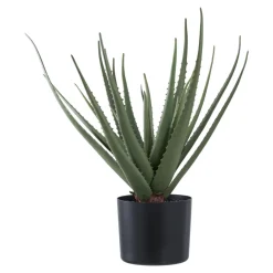 Best House Nordic Aloe Vera Künstliche Grünpflanze