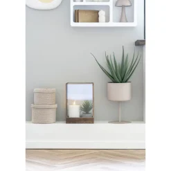 Best House Nordic Aloe Vera Künstliche Grünpflanze