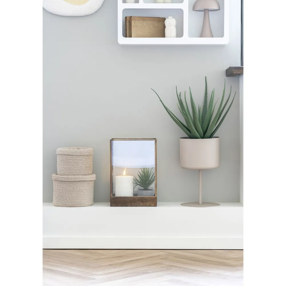 Best House Nordic Aloe Vera Künstliche Grünpflanze
