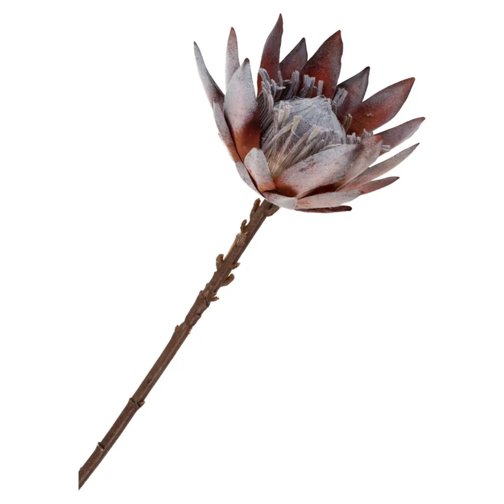 Hot House Nordic King Protea Bouquet, Künstlilcher Blumenstrauß