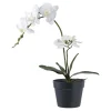 Sale House Nordic Künstliche Orchidee im Topf