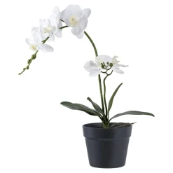Sale House Nordic Künstliche Orchidee im Topf