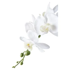 Sale House Nordic Künstliche Orchidee im Topf