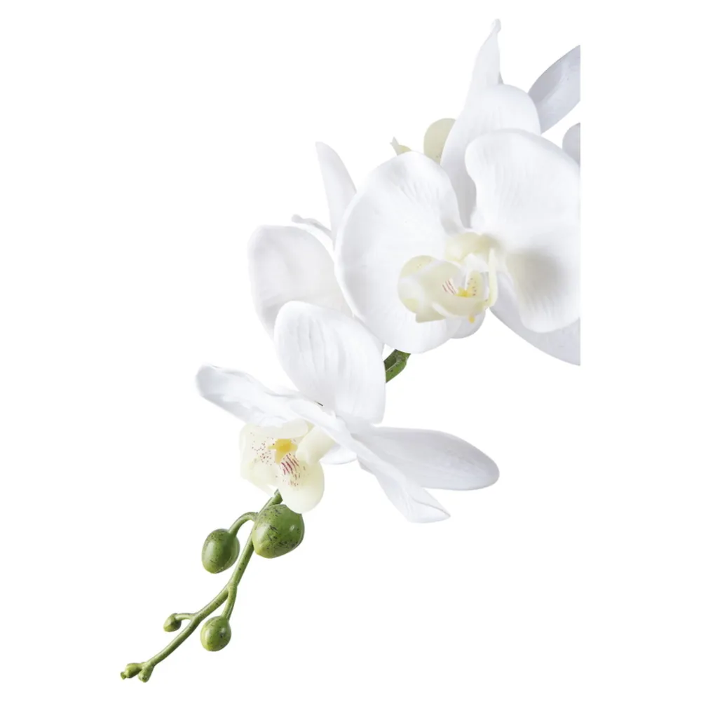 Sale House Nordic Künstliche Orchidee im Topf