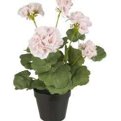 Online IB Laursen Geranie in Topf rosa Blumen