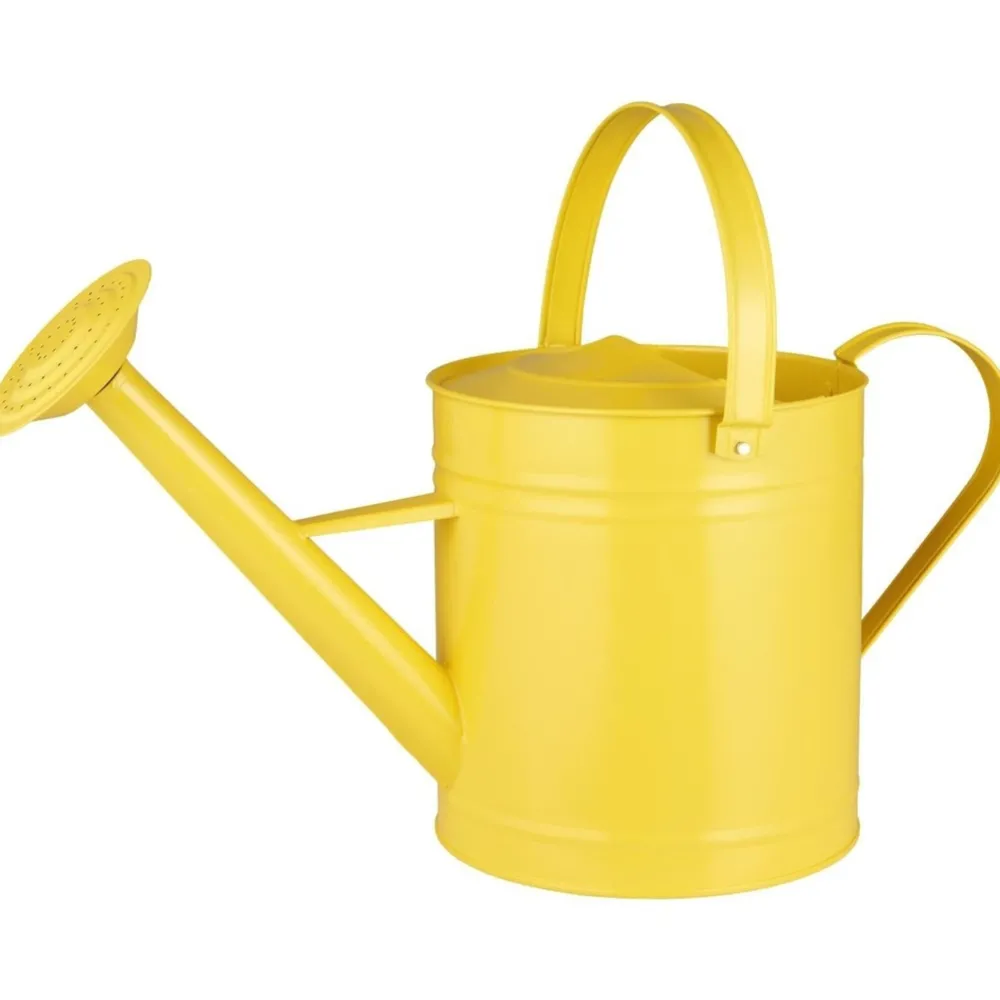 Discount IB Laursen Giesskanne mit Brause und 2 Henkeln 6,3 ltr