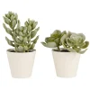 Outlet IB Laursen Künstliche Sukkulente 2er Set im Topf Sedum und Echeverie