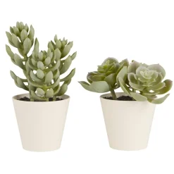 Outlet IB Laursen Künstliche Sukkulente 2er Set im Topf Sedum und Echeverie
