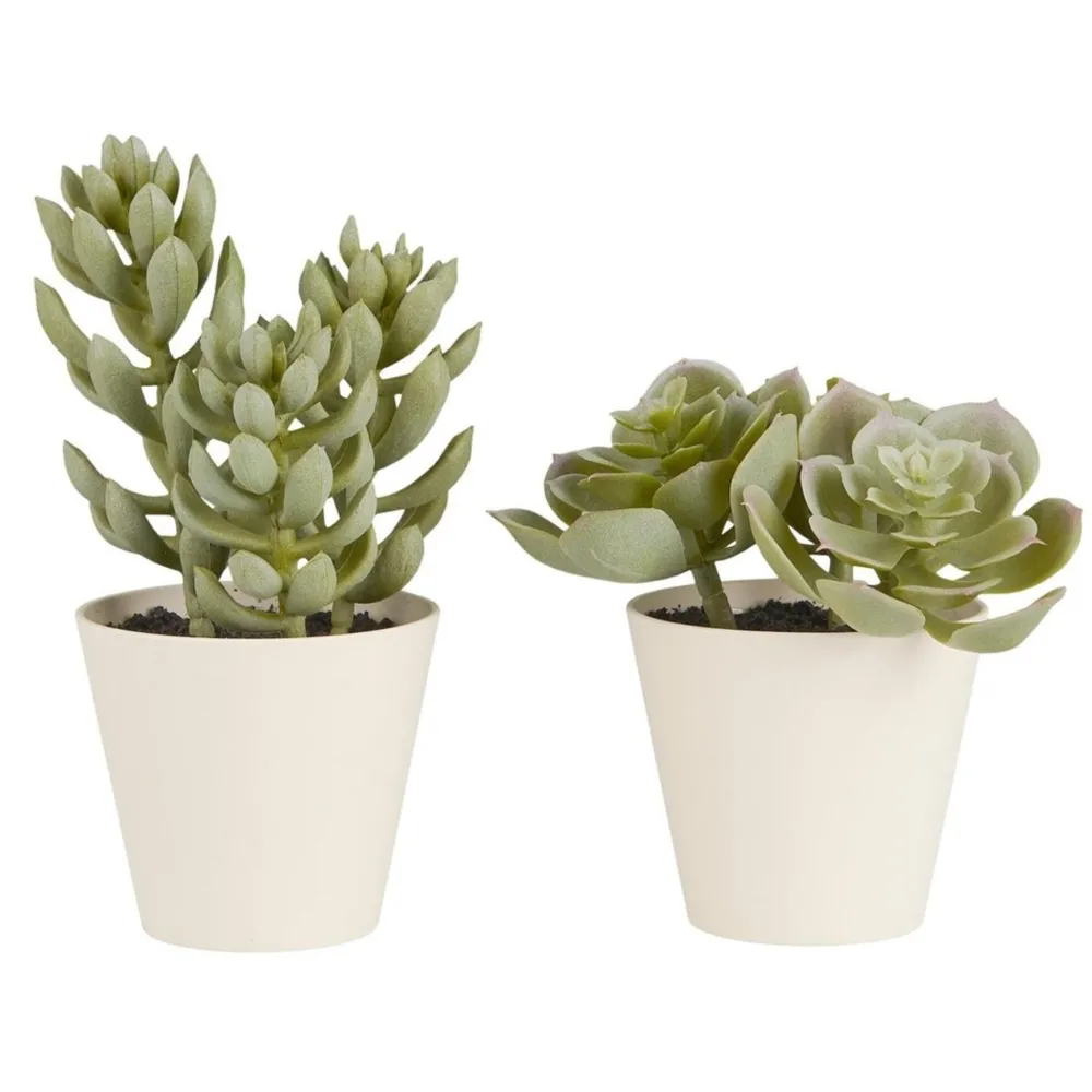 Outlet IB Laursen Künstliche Sukkulente 2er Set im Topf Sedum und Echeverie