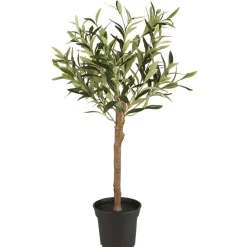 New IB Laursen Olivenbaum in Topf