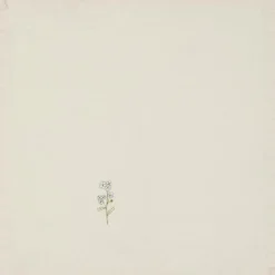 Online IB Laursen Stoffserviette Flora mit aufgestickten Blumen