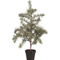 Sale IB Laursen Zederbaum im Topf