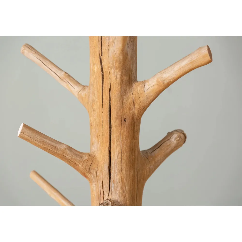 New Invicta Garderobenständer Tree Mangostanholz
